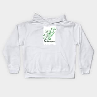 Pakistan Cricket Kids Hoodie